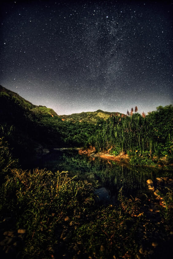 Untitled Untitled