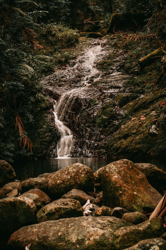 Untitled Untitled