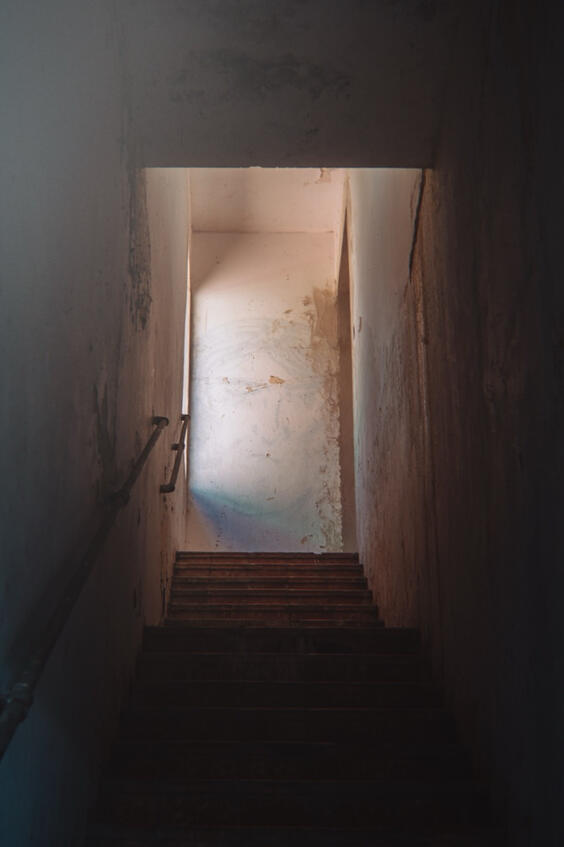 Untitled Untitled