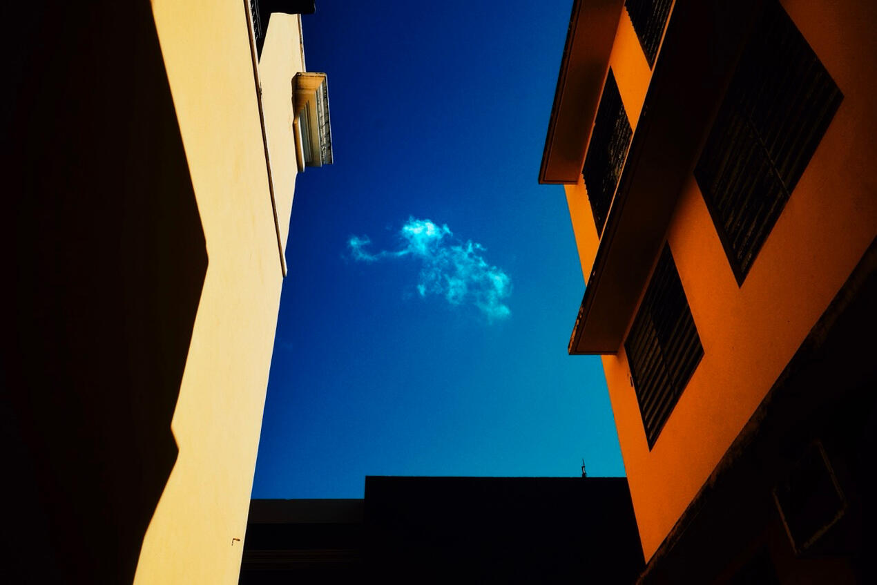 Untitled Untitled
