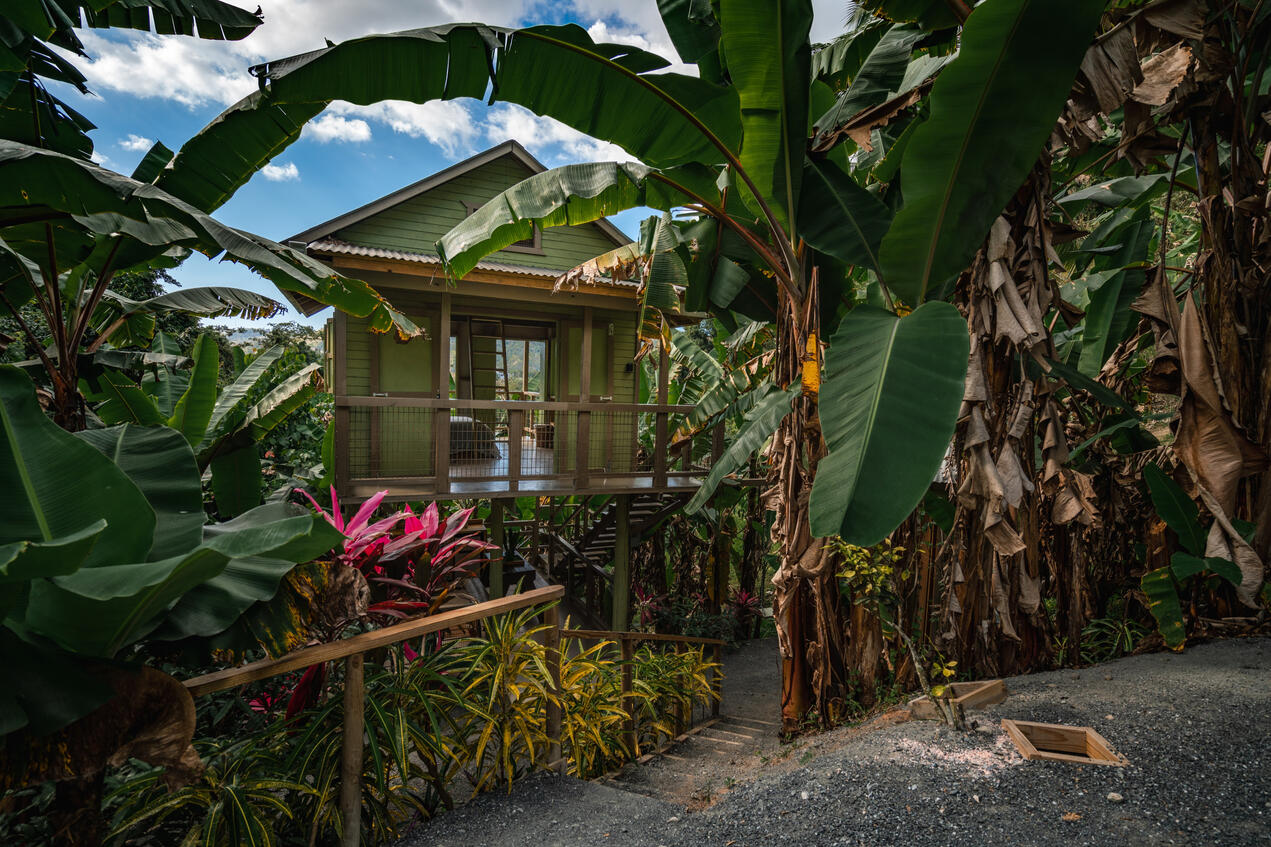 Tiny House - Finca Figueroa